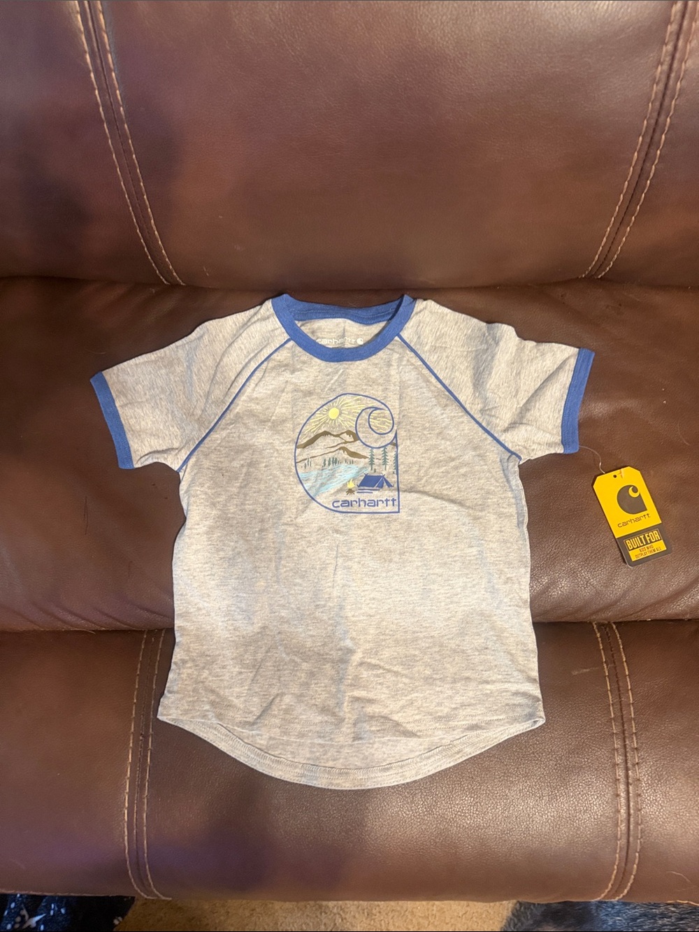 Carhartt Heather Gray Tee with Blue Trim and Scenic Patch